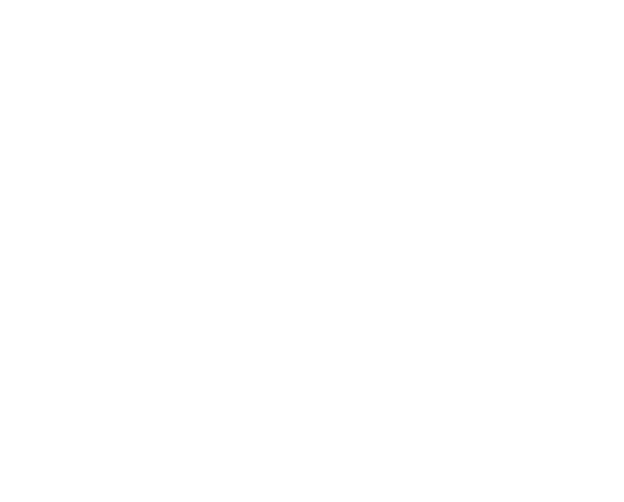 envato icon